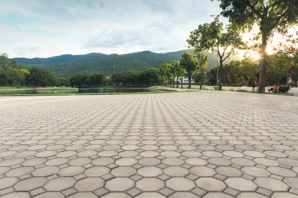 Best Affordable Driveway Pavers  in Eagle Butte, SD